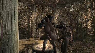 The Art of Domesticating in Skyrim