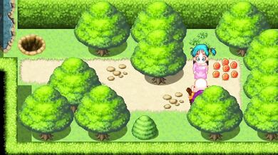 Bulma and Kamehameha get it on in paradise! A YamaMoto doujinshi