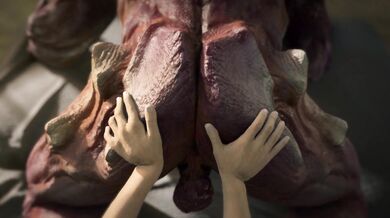 The Hellish Bottoming of the Knight