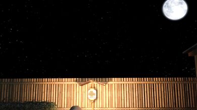 Watch this horny futa find pleasure in all the right places with her new lover! Girl Meets Futa [SFM]