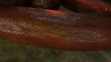 Busty, curvy MILF gets double penetrated by giant tentacle monster and her sons friend