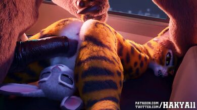 Hey! Wanna stay at my place for the night? You can sleep in my bed and breakfast