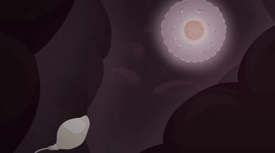 4K Ultra HD Sex Scenes with Leomon and Beelzemon, featuring Chotterii