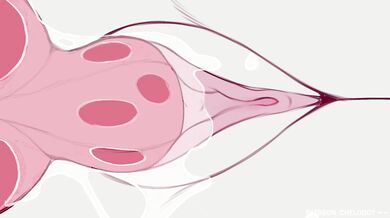 Panda Bear and Lucario are about to have some fun in the forest, but when Sylveon shows up, they cant help but be distracted by her cute looks