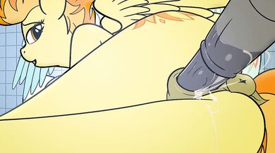 You have a choice in life, to be either a victim or a victor Choose the latter and become the Spitfire of your own destiny with Haltie by your side