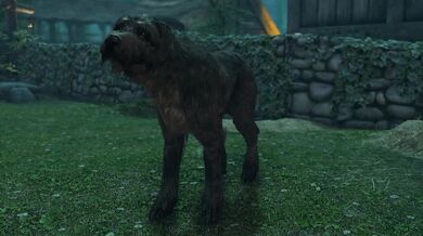 Two sisters share a canine cock