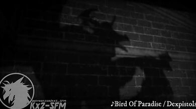 Blaziken Defeats Kx2: SFM Parody