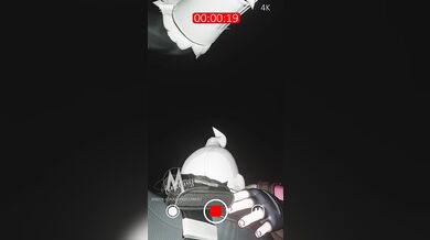 Watch as sexy black cat takes a selfie while seducing her white furry friend!