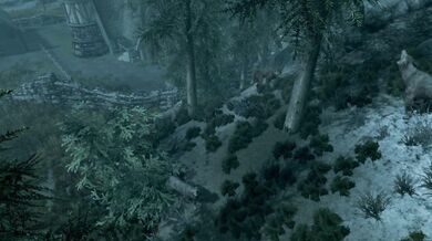 The Druidess - Trailer