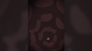 The Salesman And The President [Geppei5959]