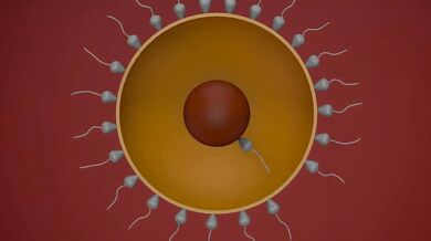 Write a sentence that uses the word frugal