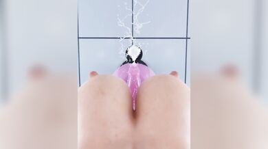 -----------------------