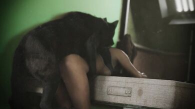 Claires Debut 2 - The Hentai Apprentice