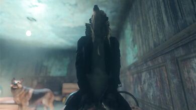 Sexual Excitement: Silvey the Wolfgirl on Top of a Man!