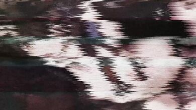 The Sexy Ninja And The Curious Maid