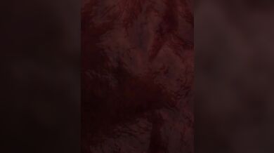 The Tiny Elf in the Bottle | January 2022