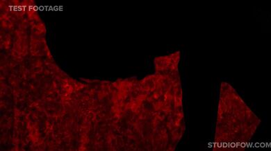 -------------------------------------------