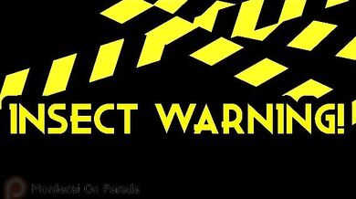 In the wild, Sam roams free and explores his sexuality as he meets various creatures that share their own desires