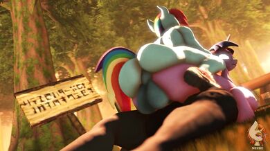 Brony Bootcamp: The Mane Six Take On Full-Figured Love Ponies in an X-Rated HMV PMV!