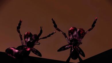 Insect Sexual Awakening: Sakumeis Biodiesel Fantasy