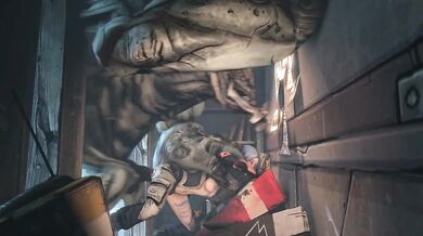 Mayas Savage Slamming - ZMsfm