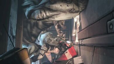 Mayas Savage Slamming - ZMsfm