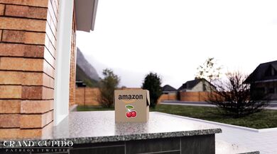 The Naughty Elfs Christmas Surprise