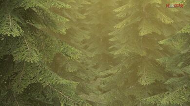 The Witcher 3: Triss and Geralts Netorase Scene - Safe For Work