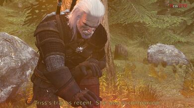 The Witcher 3: Triss and Geralts Netorase Scene - Safe For Work