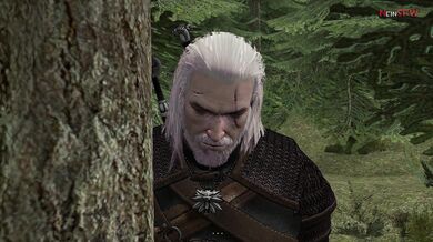 The Witcher 3: Triss and Geralts Netorase Scene - Safe For Work