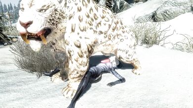 Sexual Desires of the Cat-Like Nymphomaniac: The Art of Bestiality