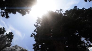 Watch as a skeezy man with a psycho fetish rapes and dominates 100 women in this hardcore HENTAI porn video