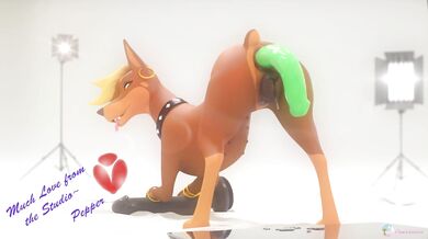 Tail-Wagging-Good Time: Dirty Doggy Delight