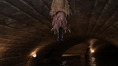 Wet and Hungry - Barnacle Vore 2B