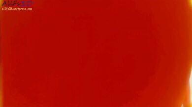 The Adventures of Ana and Amari: A Sexual Compilation Story