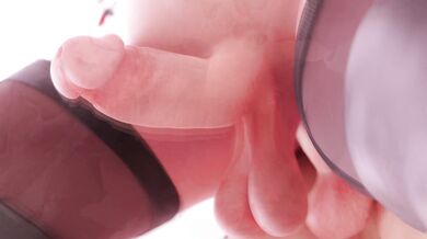 2 girls and 9 guys bully [Justausernamesfm]