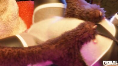 WATCH Judy & Nicks XXX adventure!