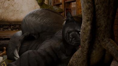 "Hentai-Riding Khajiits: Double Team Ride!"