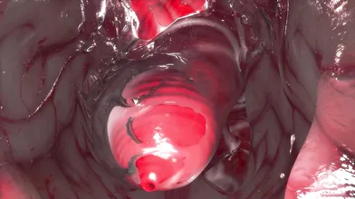 Frosty VR Sex Adventure 2: The Thawing