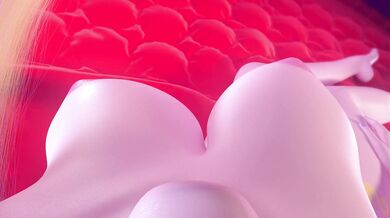 My Little Pony: The Princess Cadence and Equine Porn Adventure!