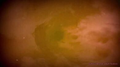 Burning Desire in the Inferno Rapture Revealed