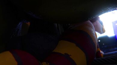 Write a sentence using the word multiaudio