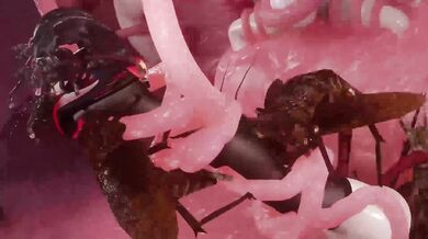 Monster girls in the seedbed - Azur Lane insect hybrids