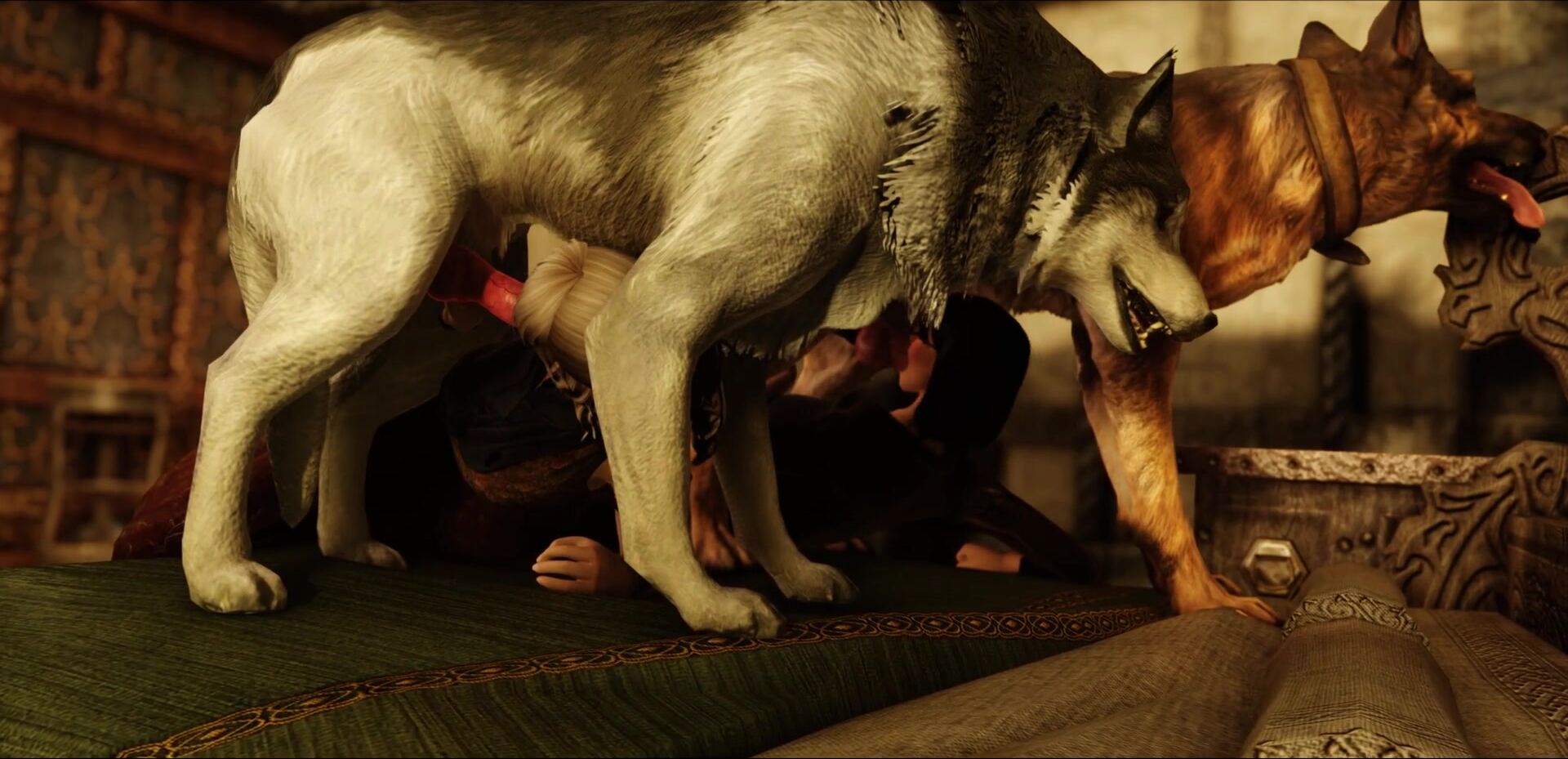 dog cock, dog knot, doggystyle position, dogs, gangbang, sound, bestiality,...