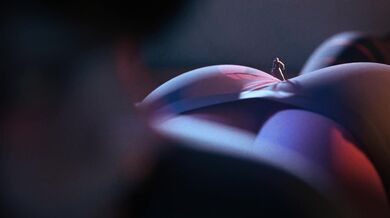 Mavis the Pumpkin Slayer: A Scragboy Production