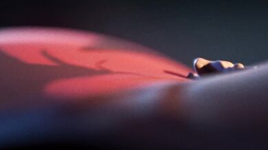 Mavis the Pumpkin Slayer: A Scragboy Production