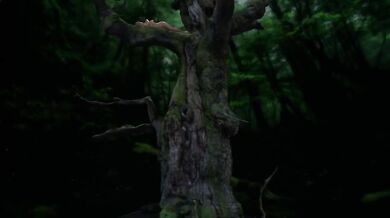 Snuggled in the coils of Titanoboa, she slept peacefully