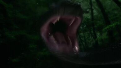 Snuggled in the coils of Titanoboa, she slept peacefully