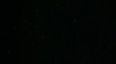 Snuggled in the coils of Titanoboa, she slept peacefully