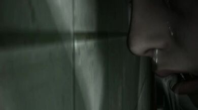 Write a one-sentence summary of the storyline in your own words